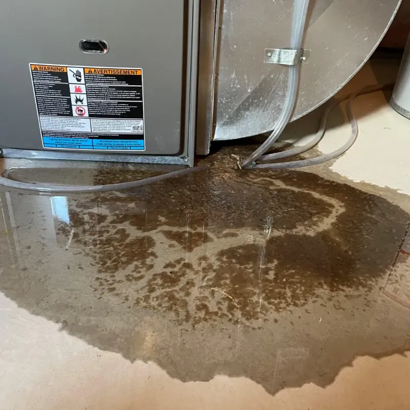 Appliance Leak Cleanup in Golden Valley, AZ